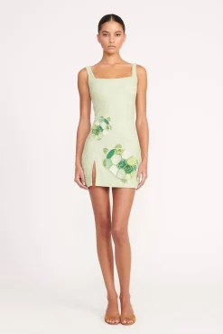 LE SABLE DRESS  BABY TURTLE